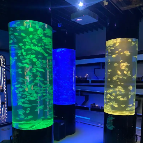 C600 jellyfish aquarium