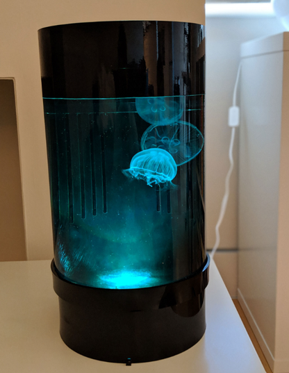 C8 Nano jellyfish aquarium