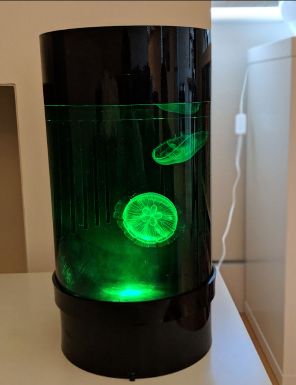 C8 Nano jellyfish aquarium