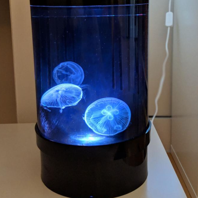 C8 Nano jellyfish aquarium – CanadaJellyfish
