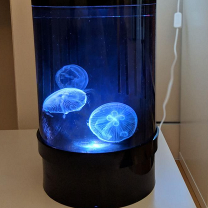 C8 Nano jellyfish aquarium